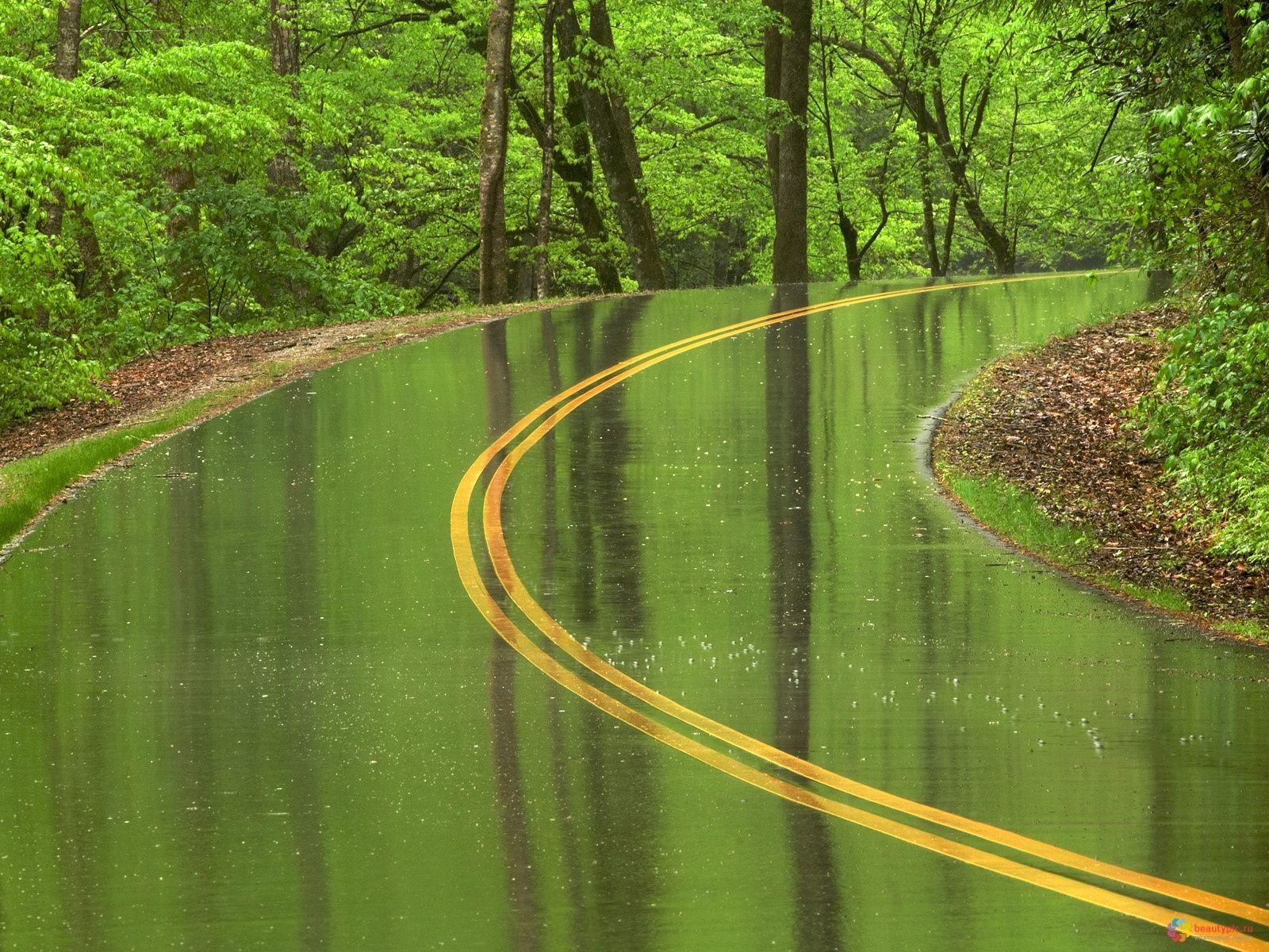 Rainy Road Wallpapers