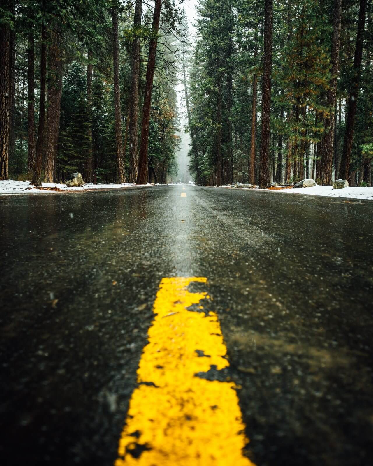 Rainy Road Wallpapers