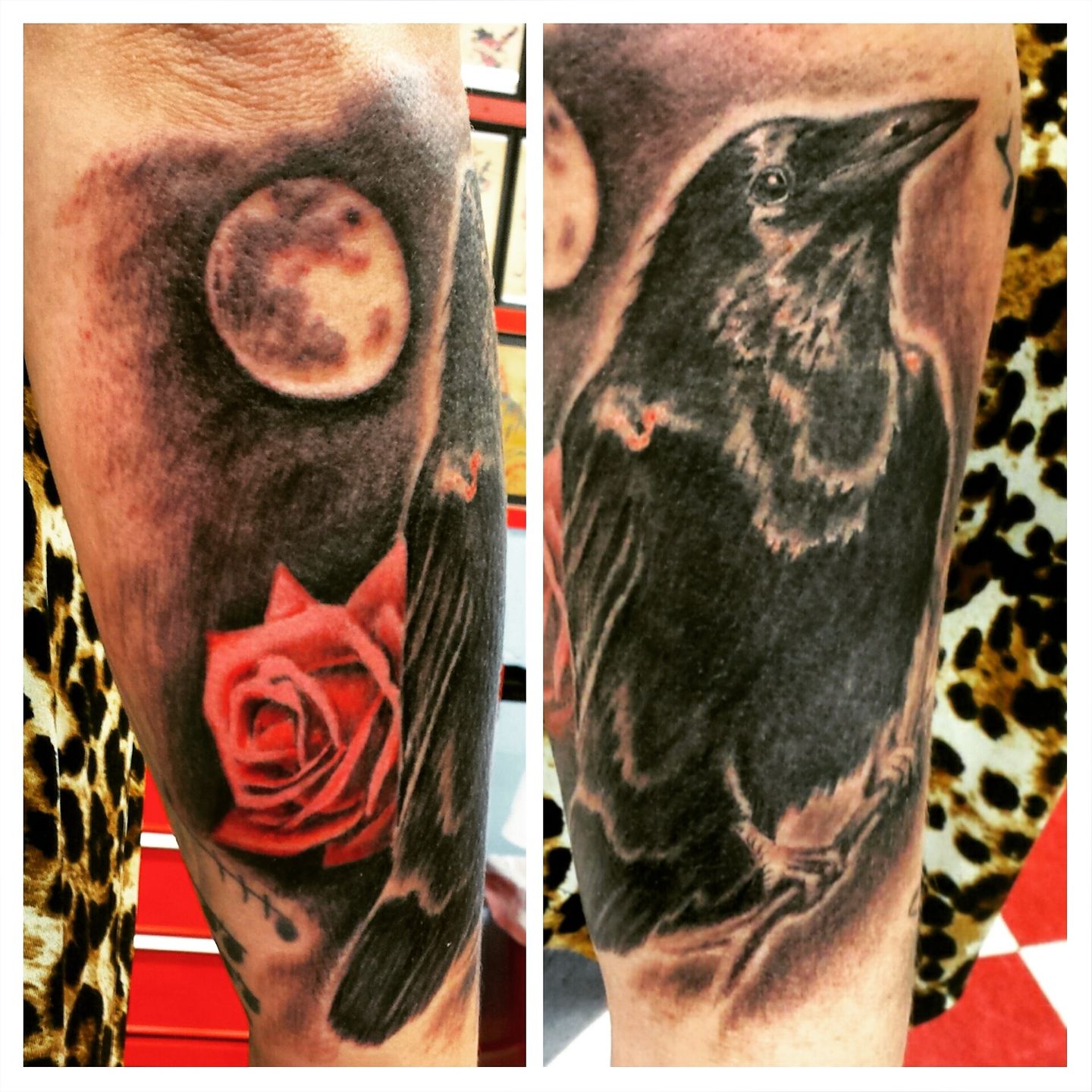 Raven And Rose Tattoo Wallpapers