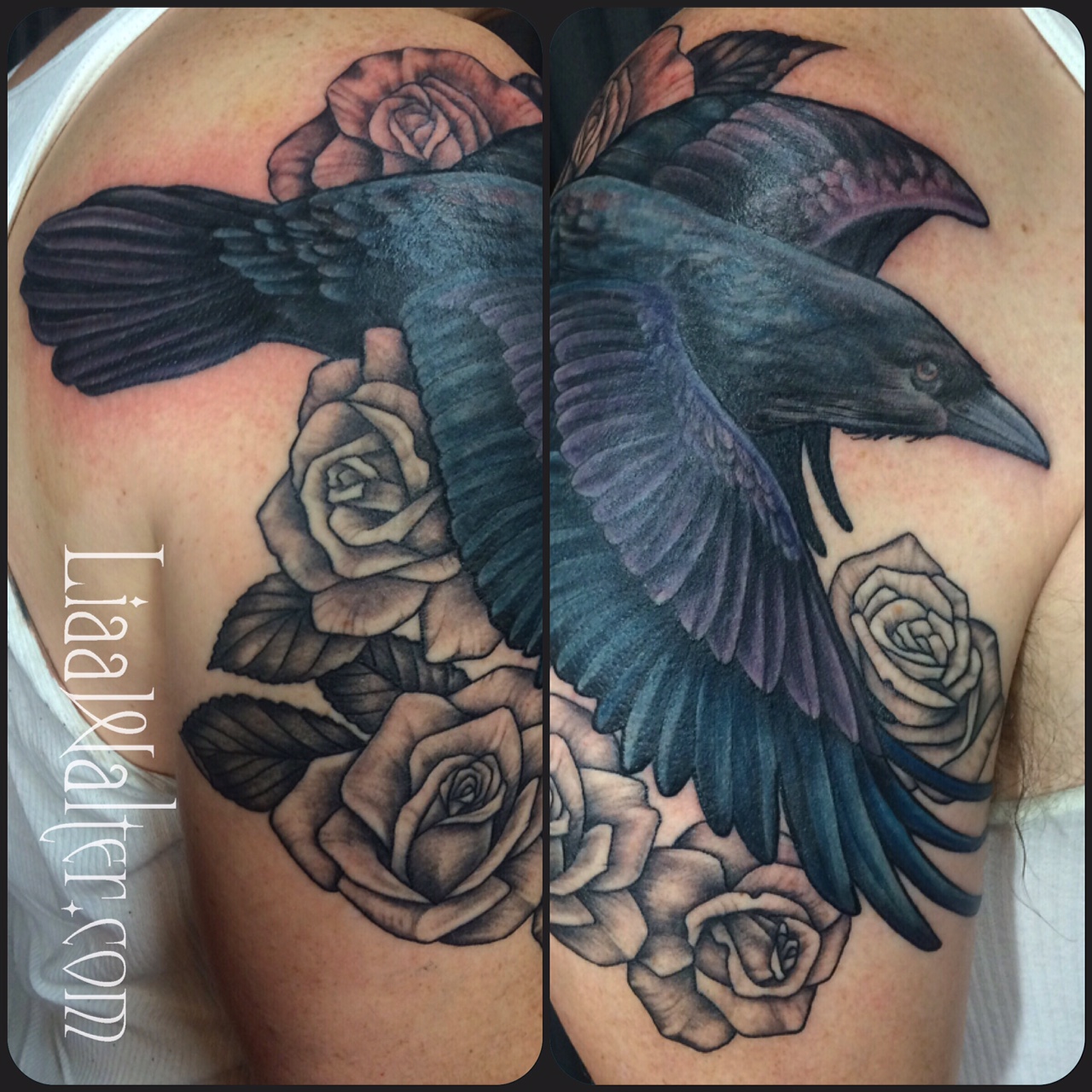 Raven And Rose Tattoo Wallpapers