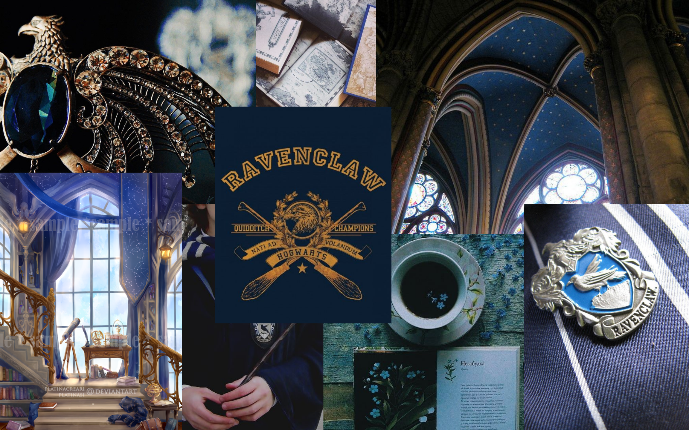 Ravenclaw Quidditch Wallpapers