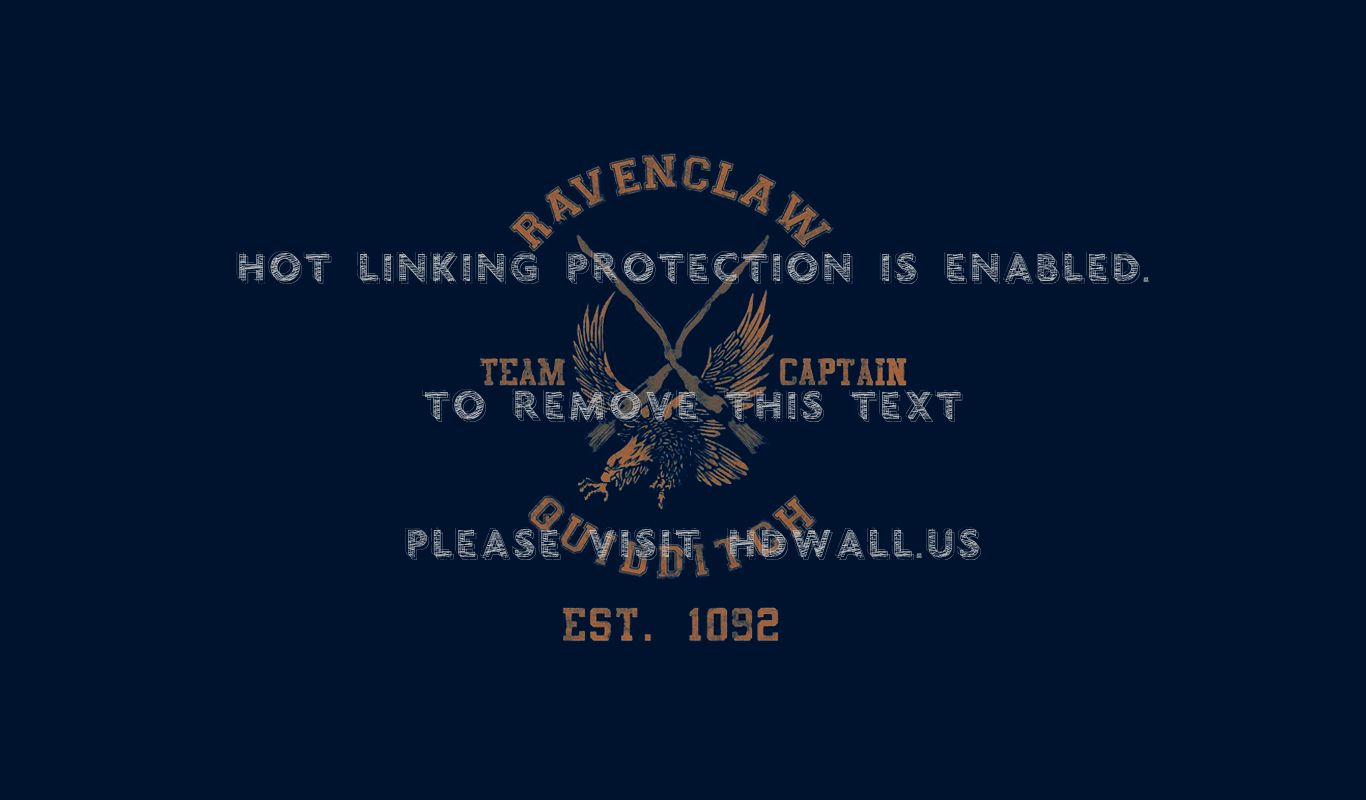 Ravenclaw Quidditch Wallpapers