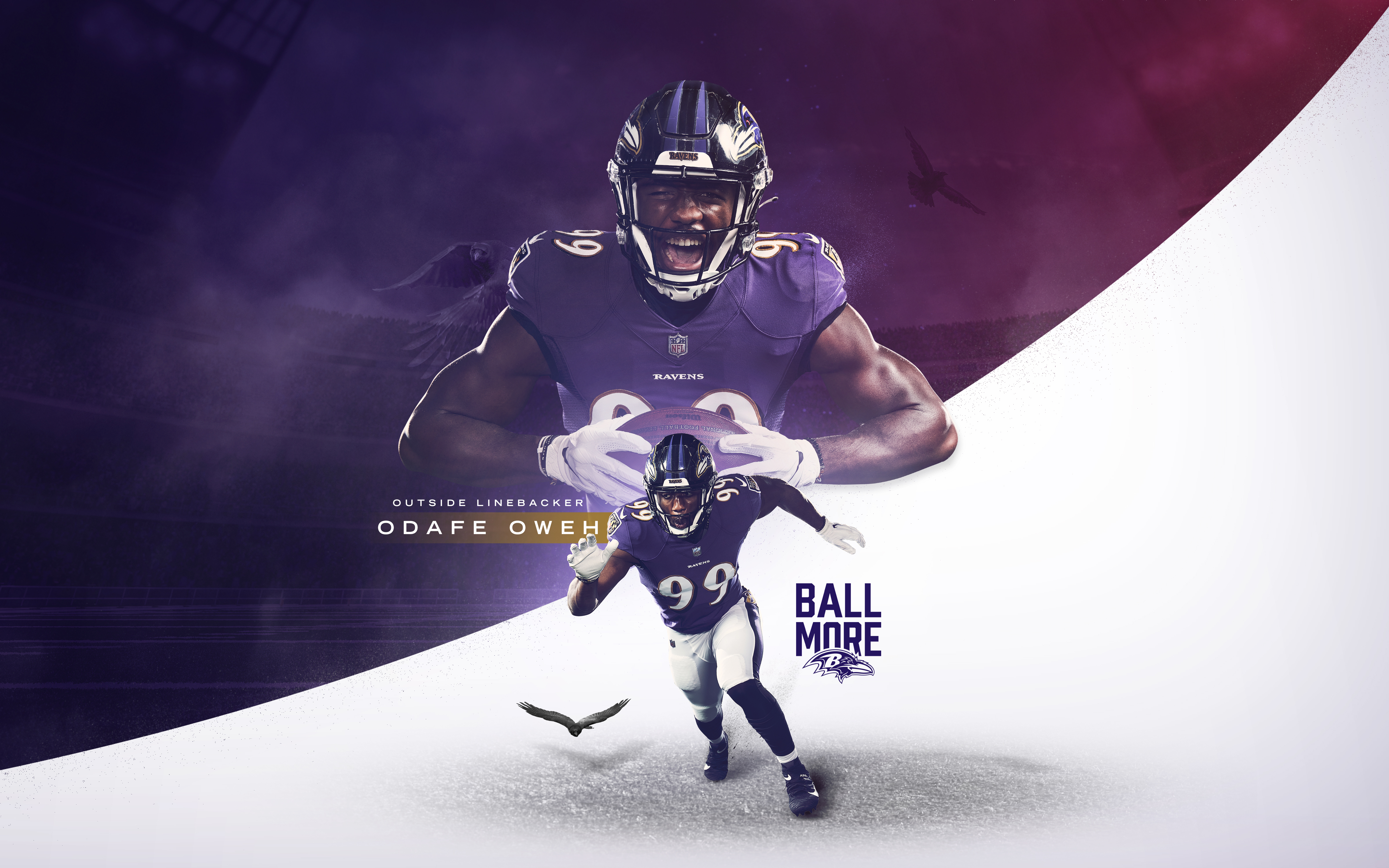 Ravens Wallpapers