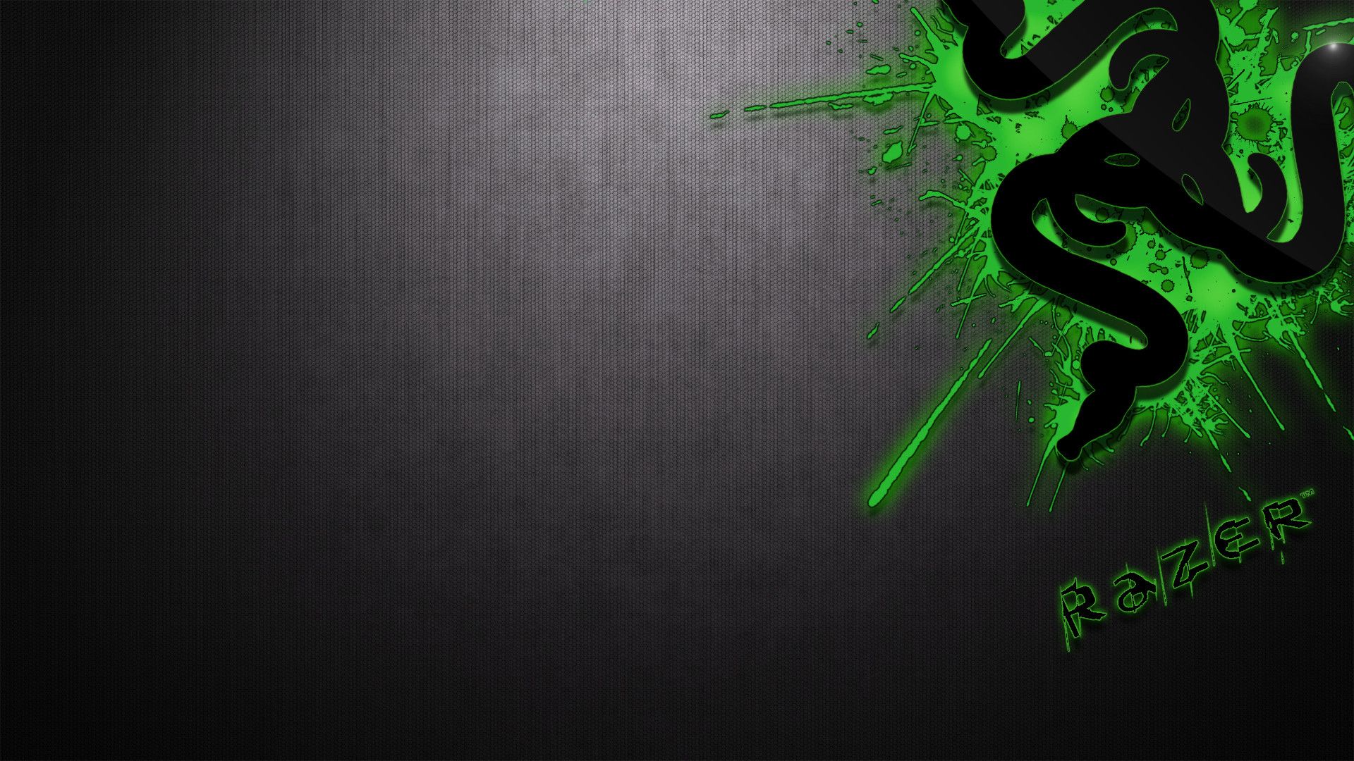 Razer Logo 1920X1080 Wallpapers