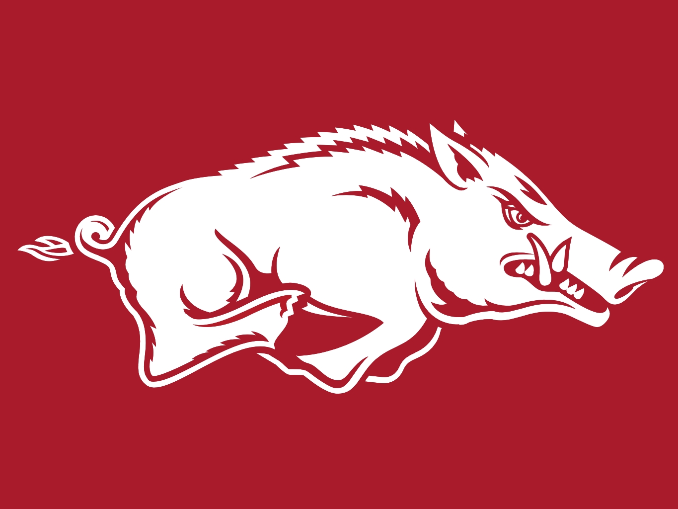 Razorback Wallpapers