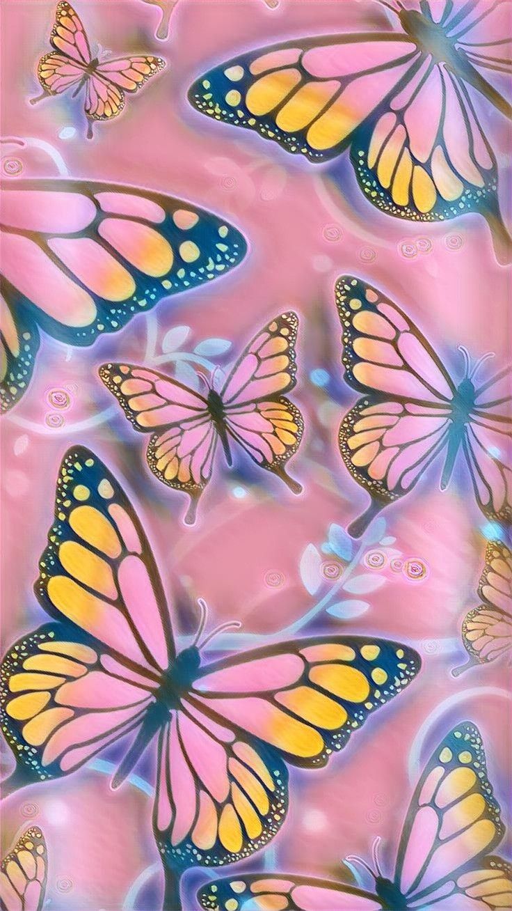 Real Butterfly Wallpapers