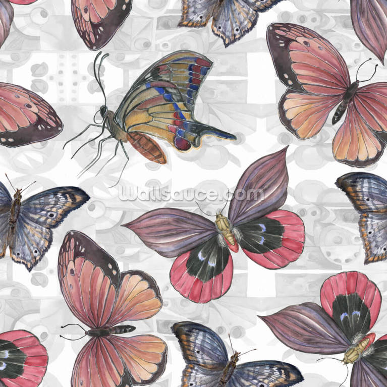 Real Butterfly Wallpapers