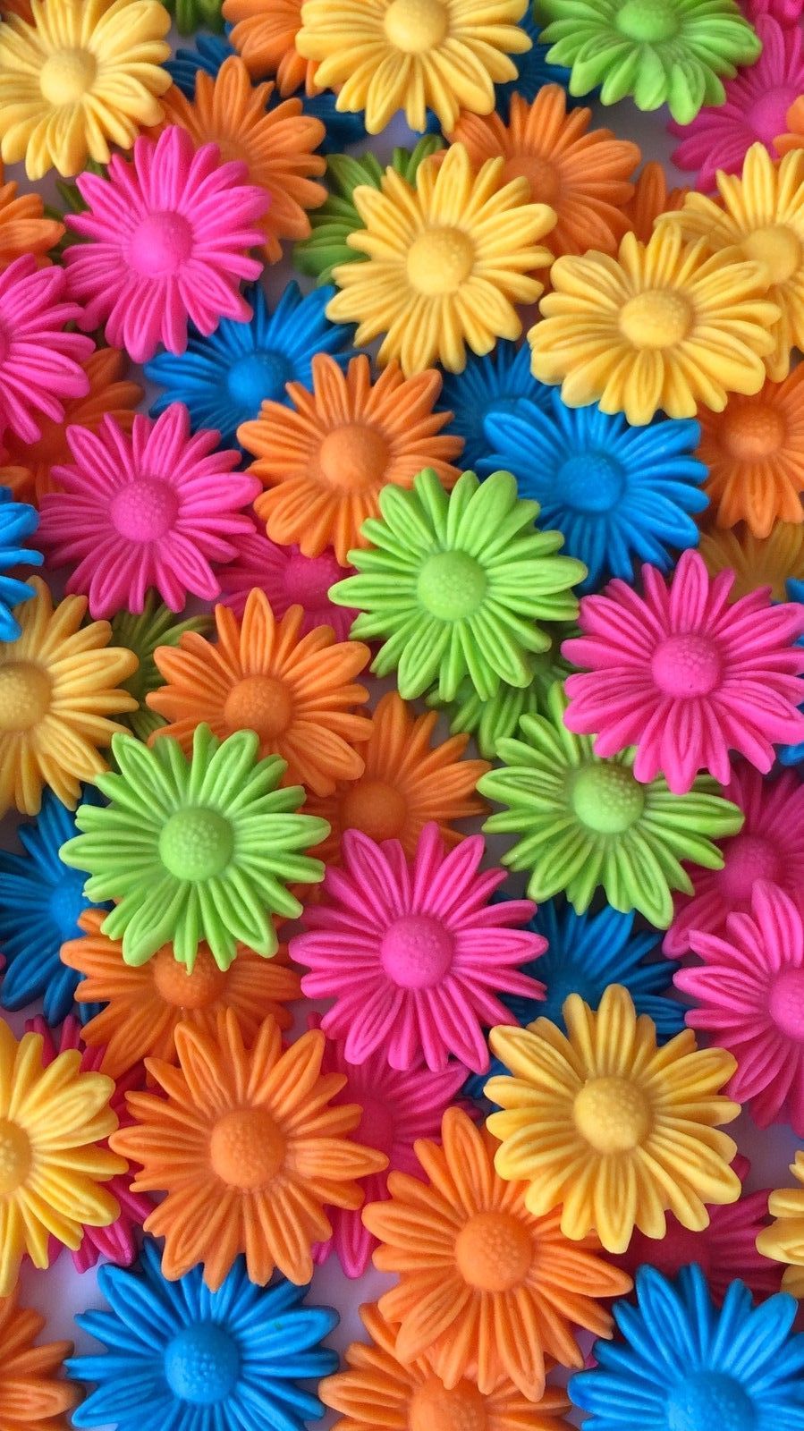 Real Rainbow Daisy Wallpapers