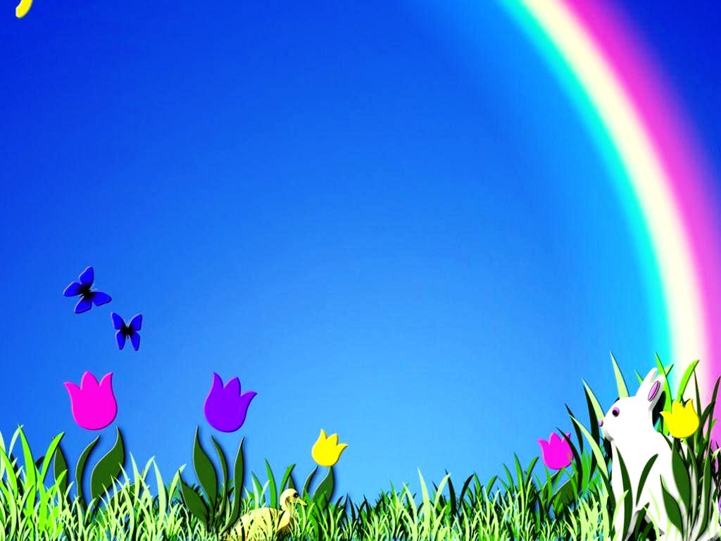 Real Rainbow Daisy Wallpapers