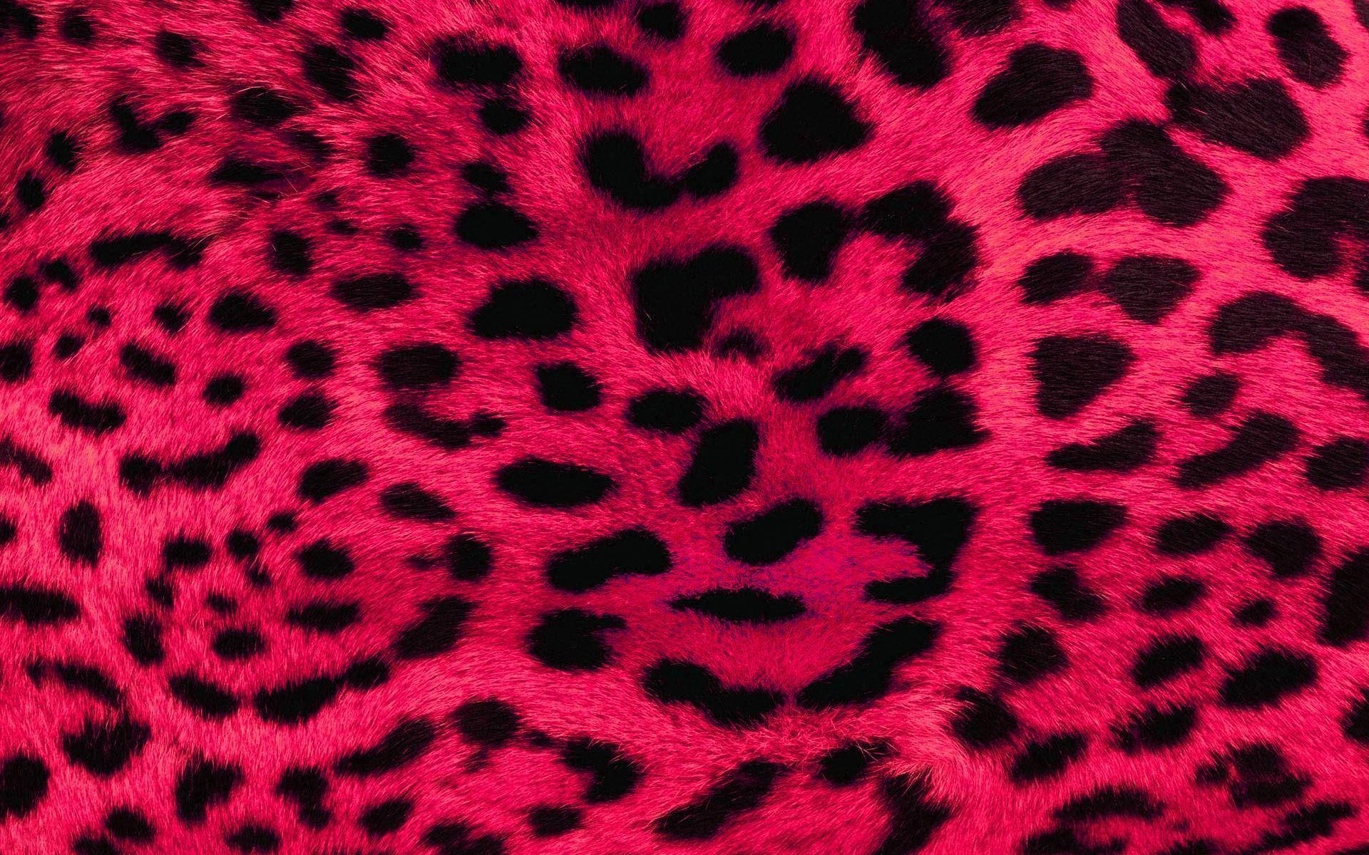 Red Cheetah Wallpapers