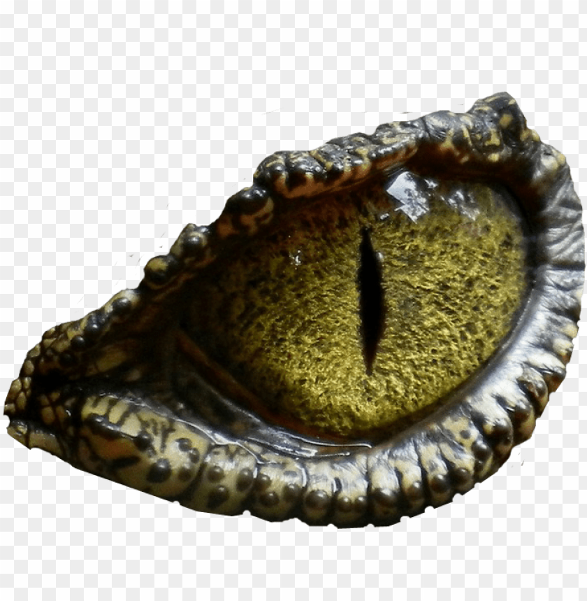 Reptile Eye Texture Wallpapers