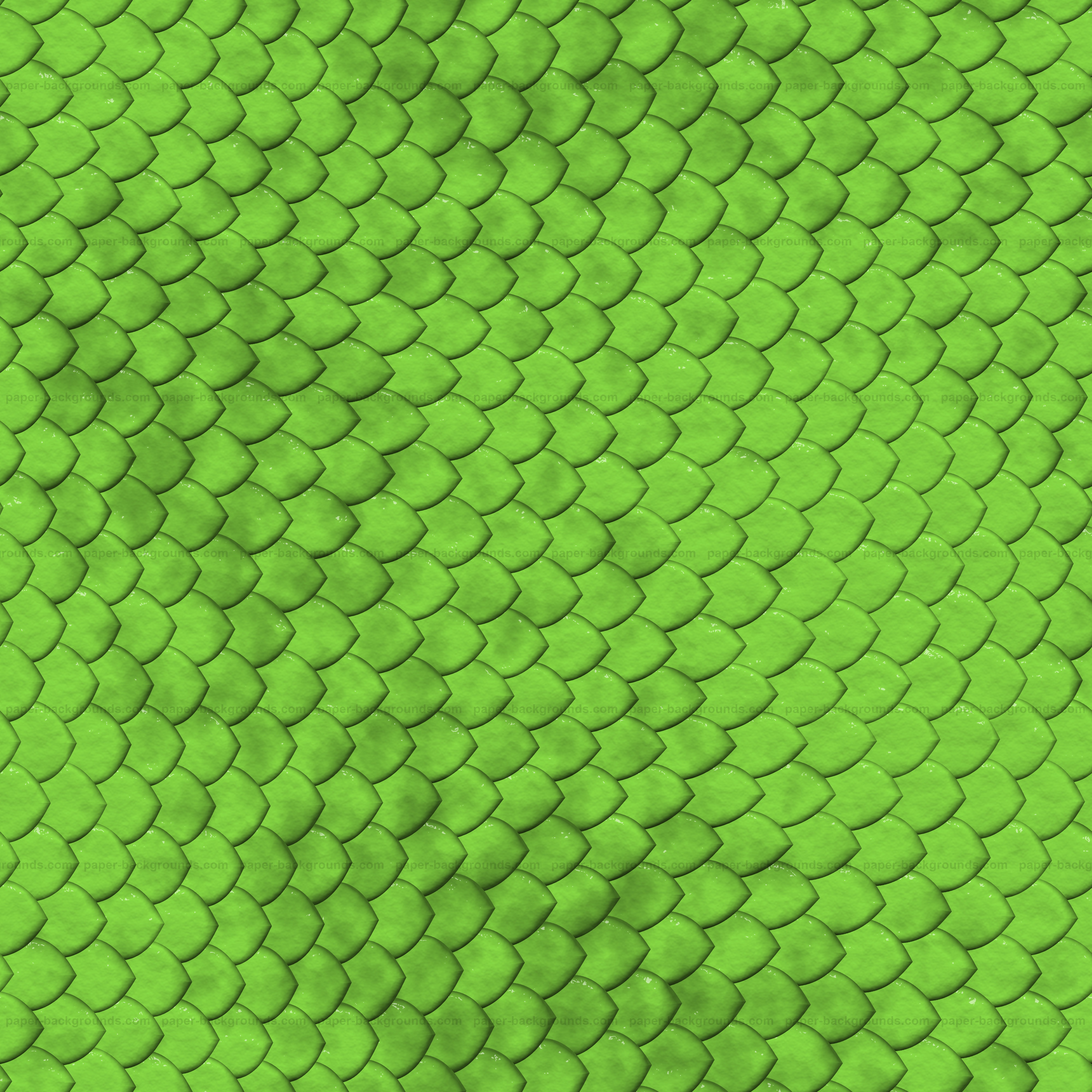 Reptile Eye Texture Wallpapers