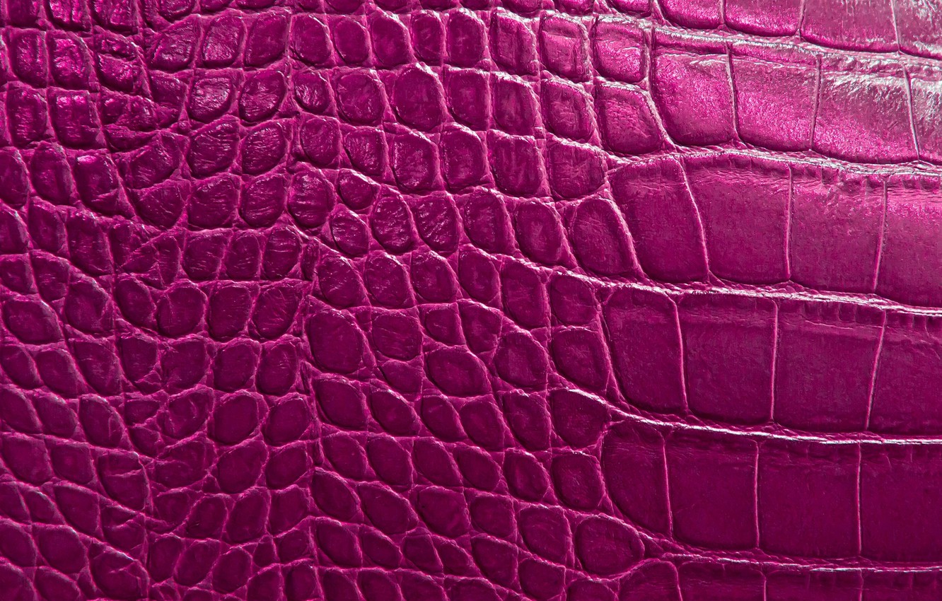 Reptile Eye Texture Wallpapers