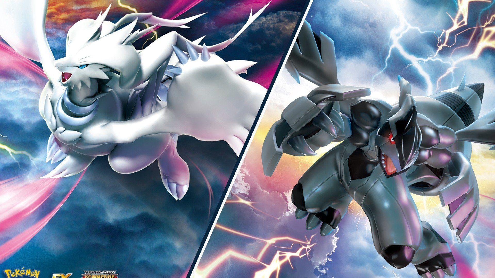 Reshiram And Zekrom Wallpapers