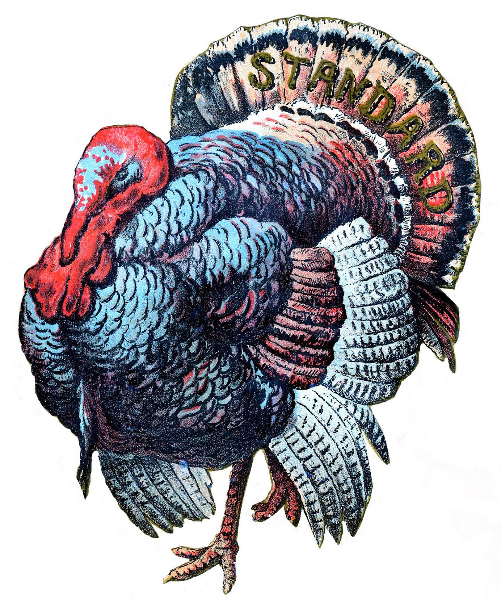 Retro Turkey Wallpapers