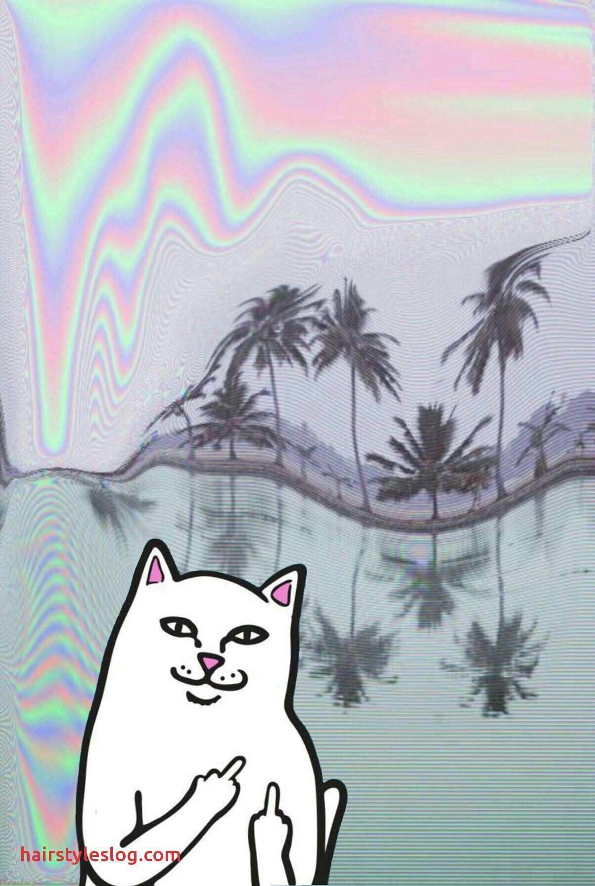 Ripndip Cat Wallpapers