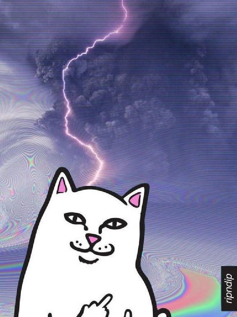 Ripndip Cat Wallpapers