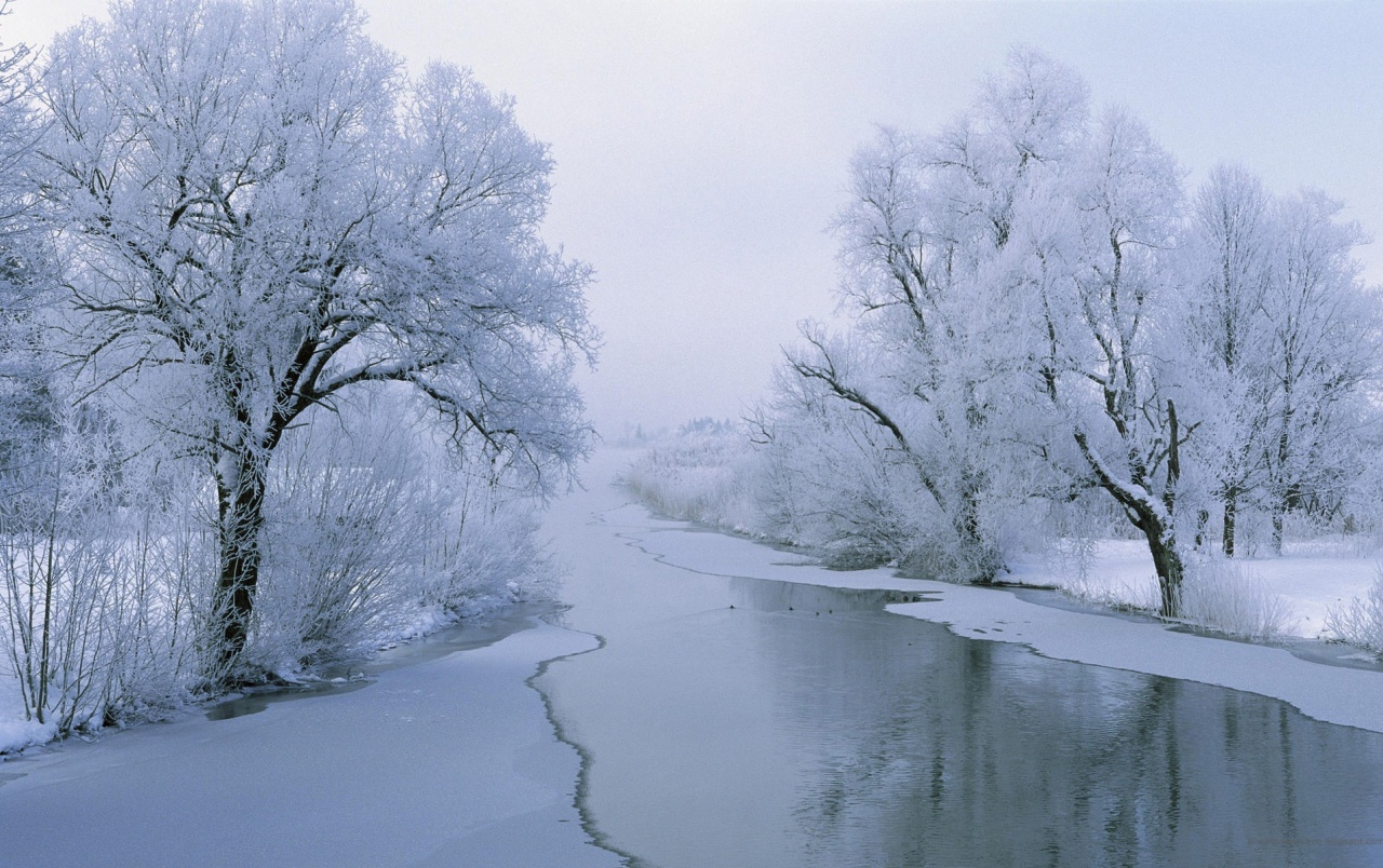 Rivers In Winter Wallpapers