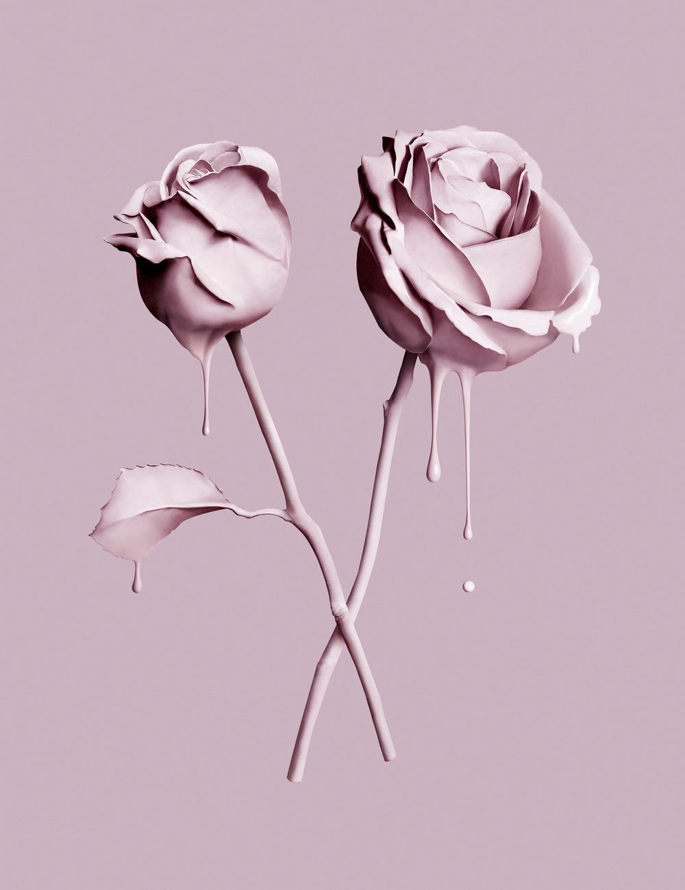 Rose Art Wallpapers