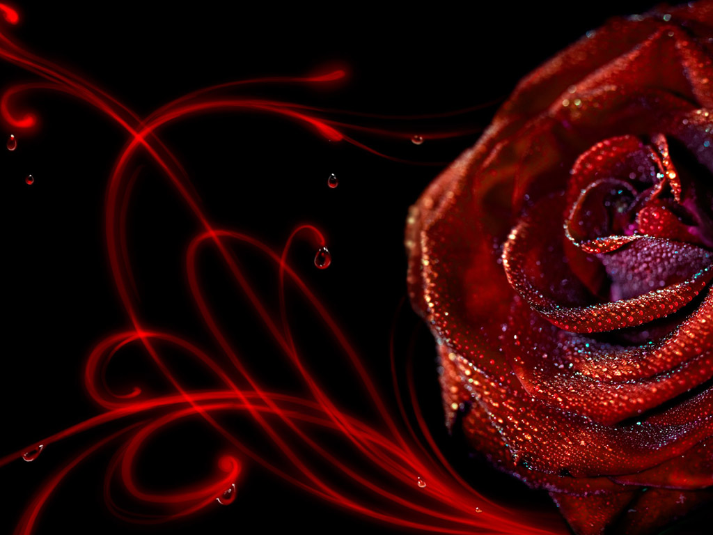 Rose Art Wallpapers