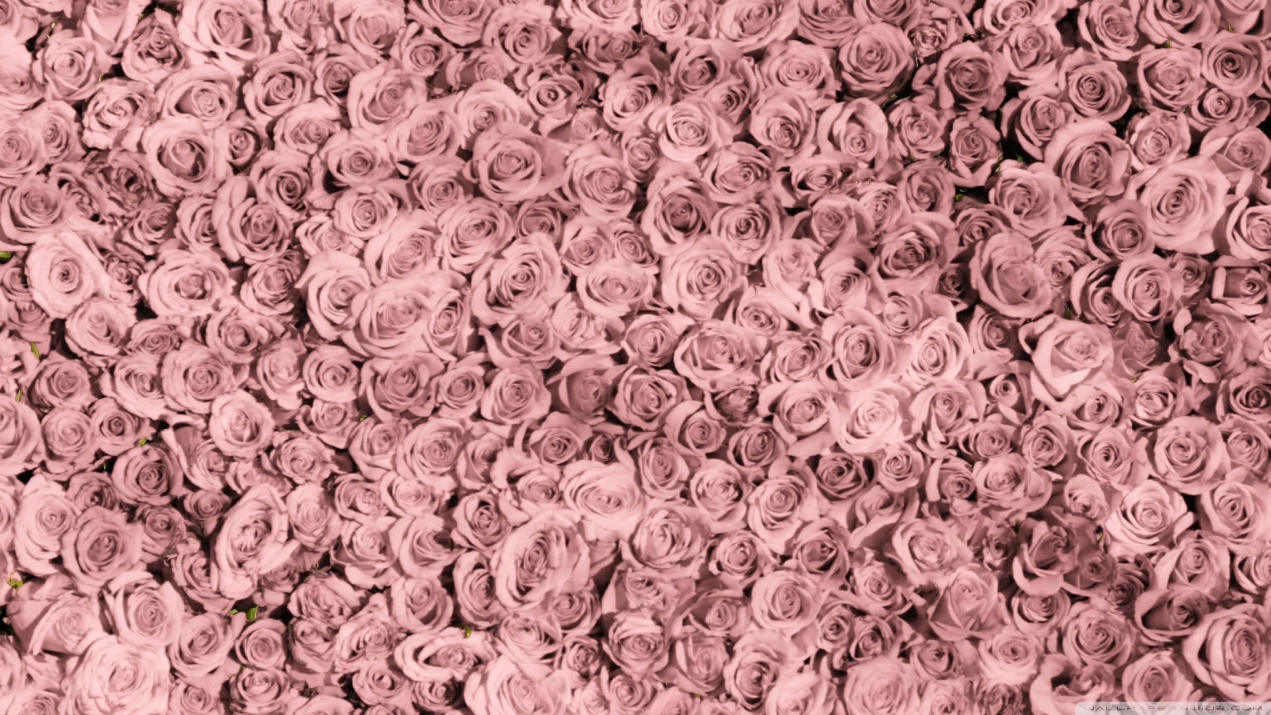 Rose Gold Aesthetic Wallpapers