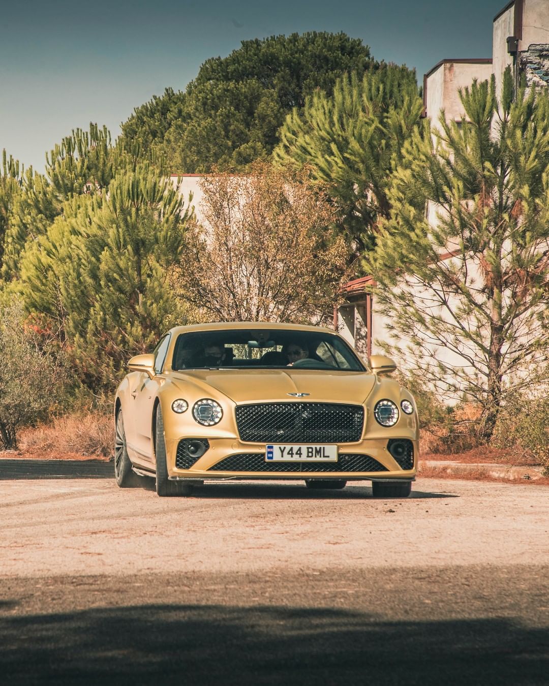 Rose Gold Bentley Wallpapers