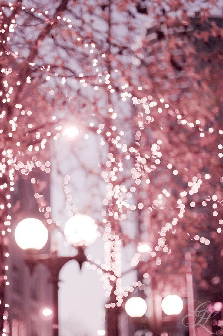 Rose Gold Fairy Lights Wallpapers