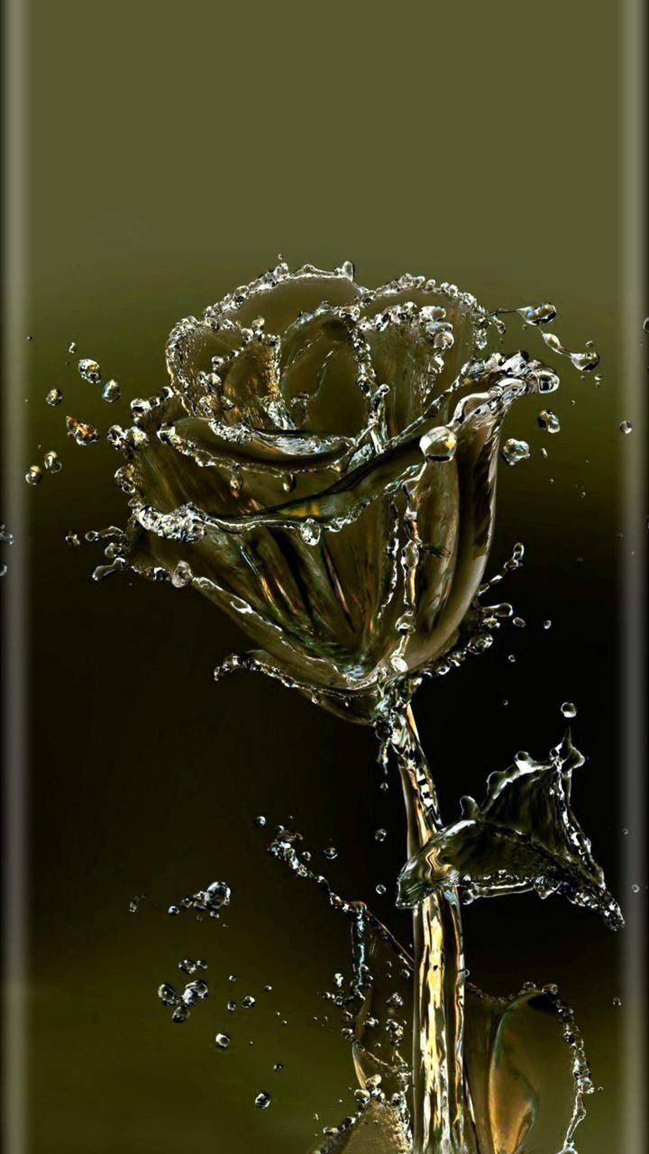 Rose Water Wallpapers