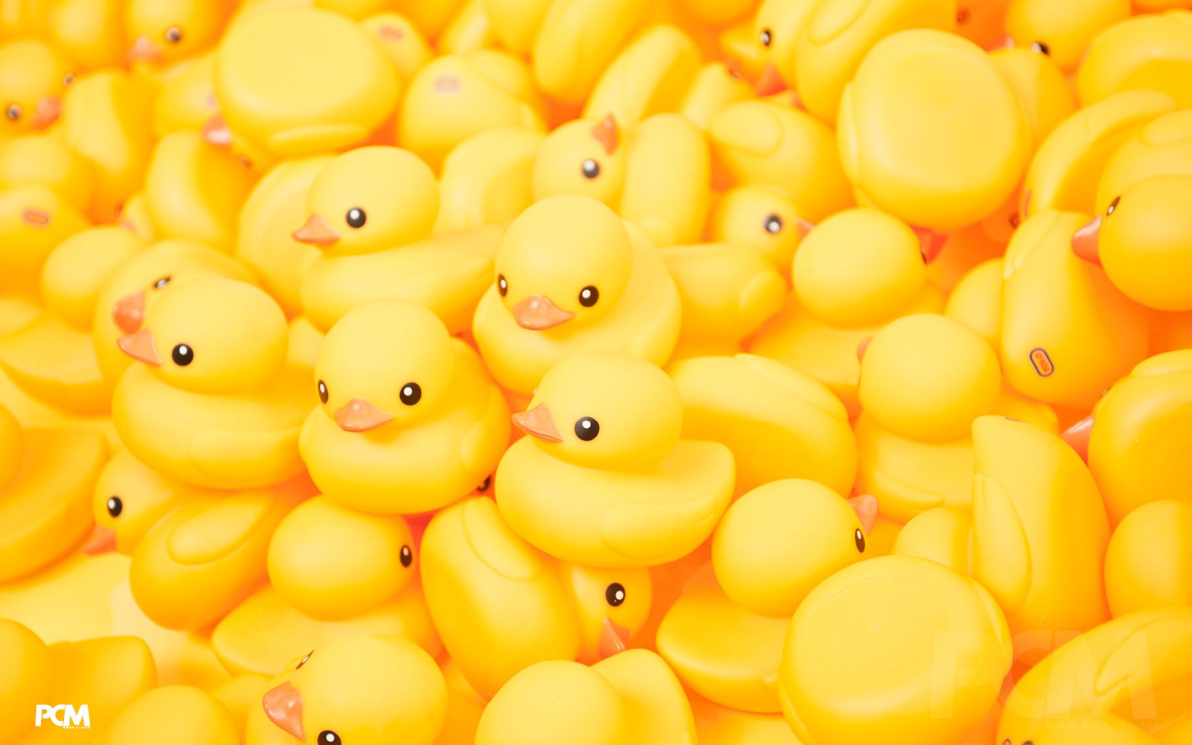 Rubber Ducky Wallpapers