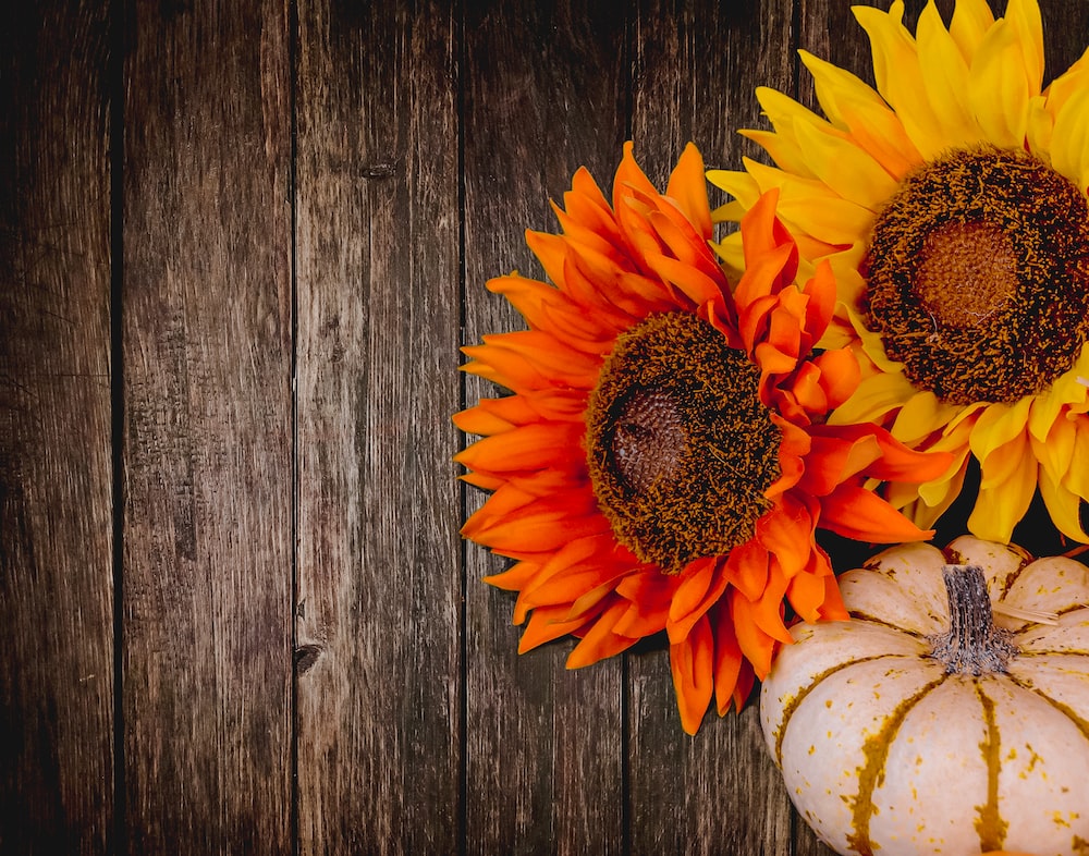 Rustic Thanksgiving Wallpapers