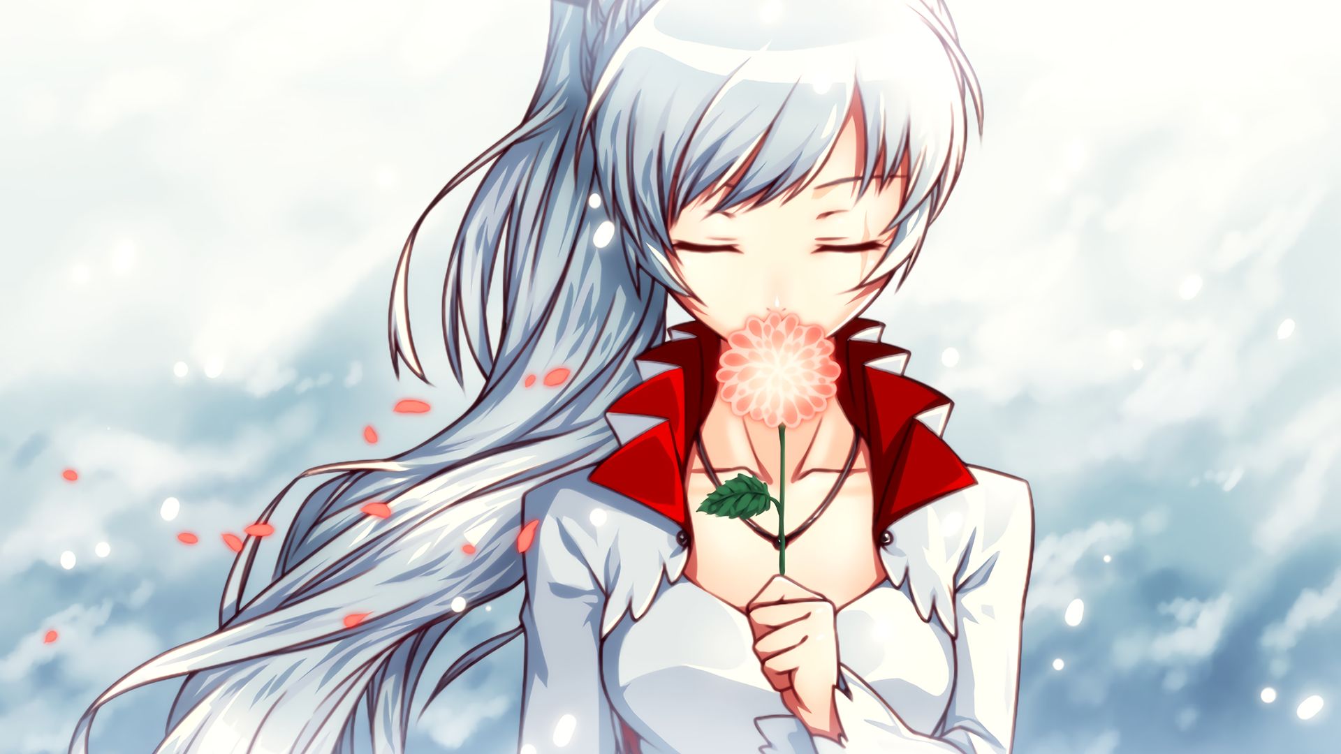 Rwby Weiss Wallpapers