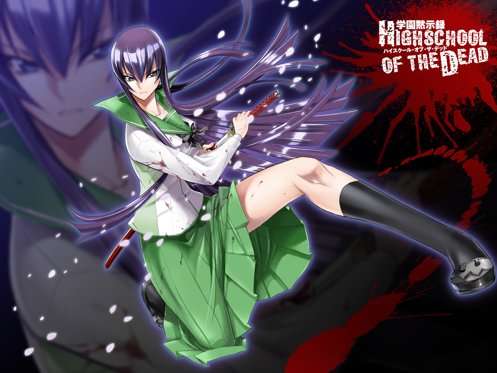 Saeko Busujima Wallpapers