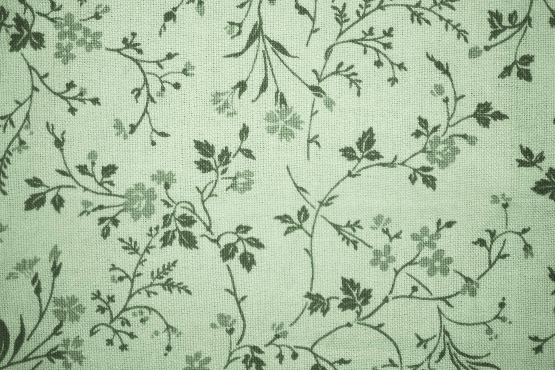 Sage Green Wallpapers