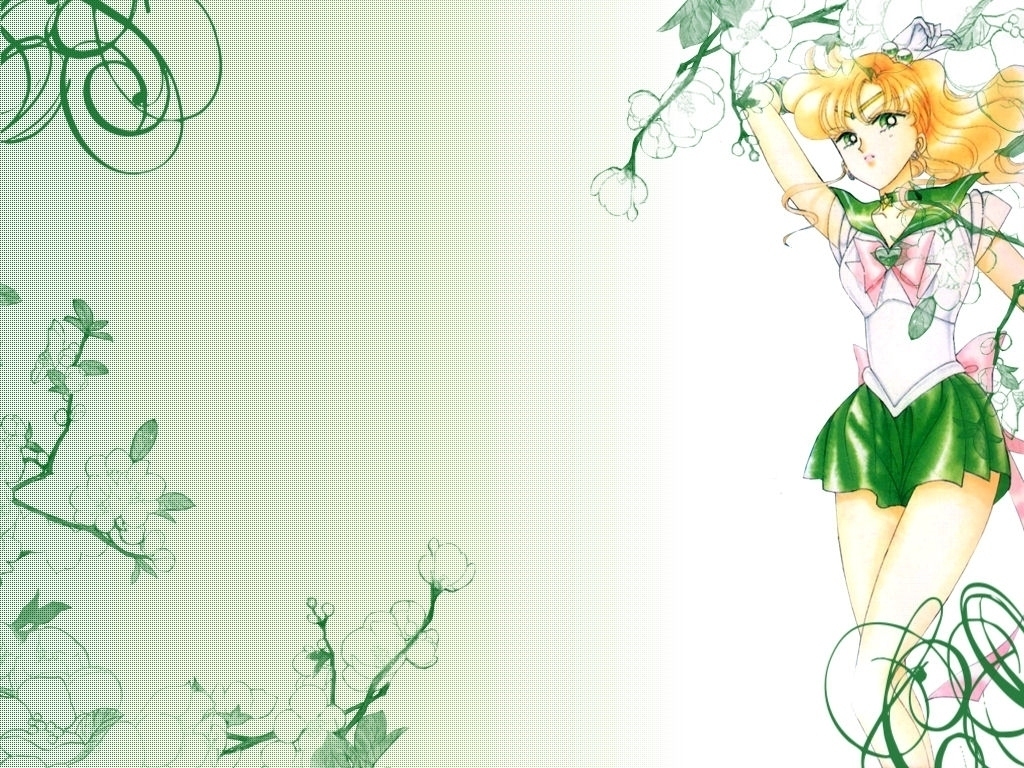 Sailor Jupiter Wallpapers