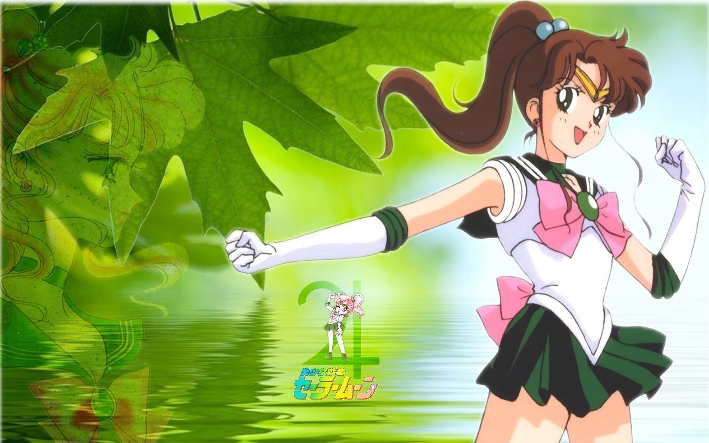 Sailor Jupiter Wallpapers