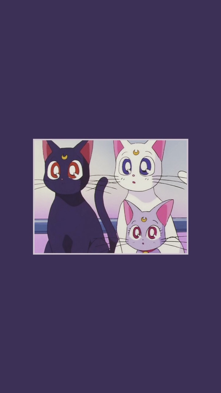 Sailor Moon Cat Wallpapers