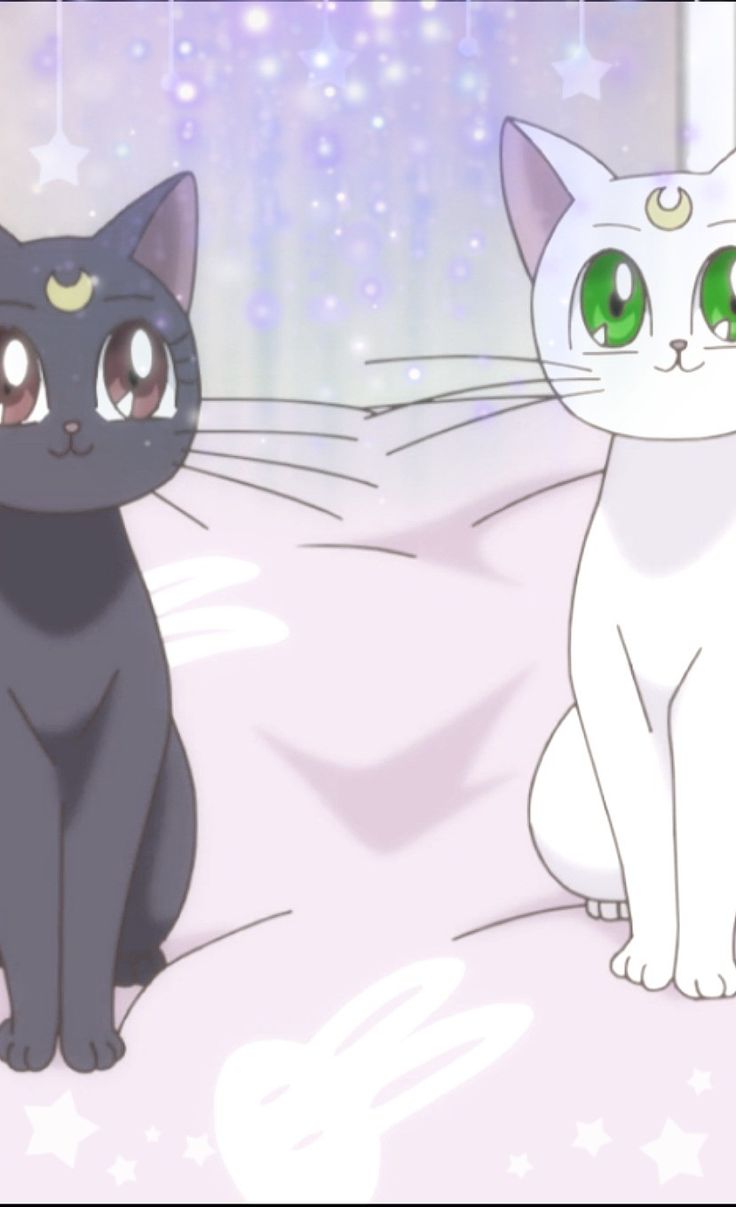 Sailor Moon Cat Wallpapers