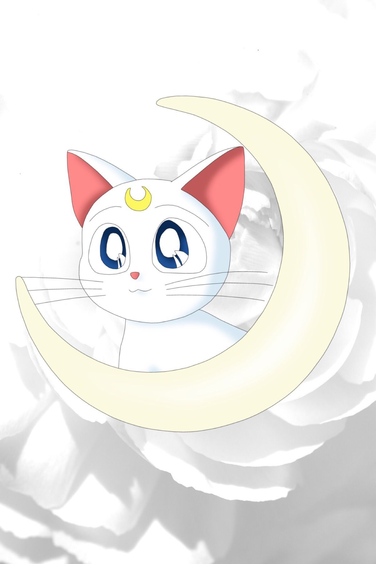 Sailor Moon Cat Wallpapers