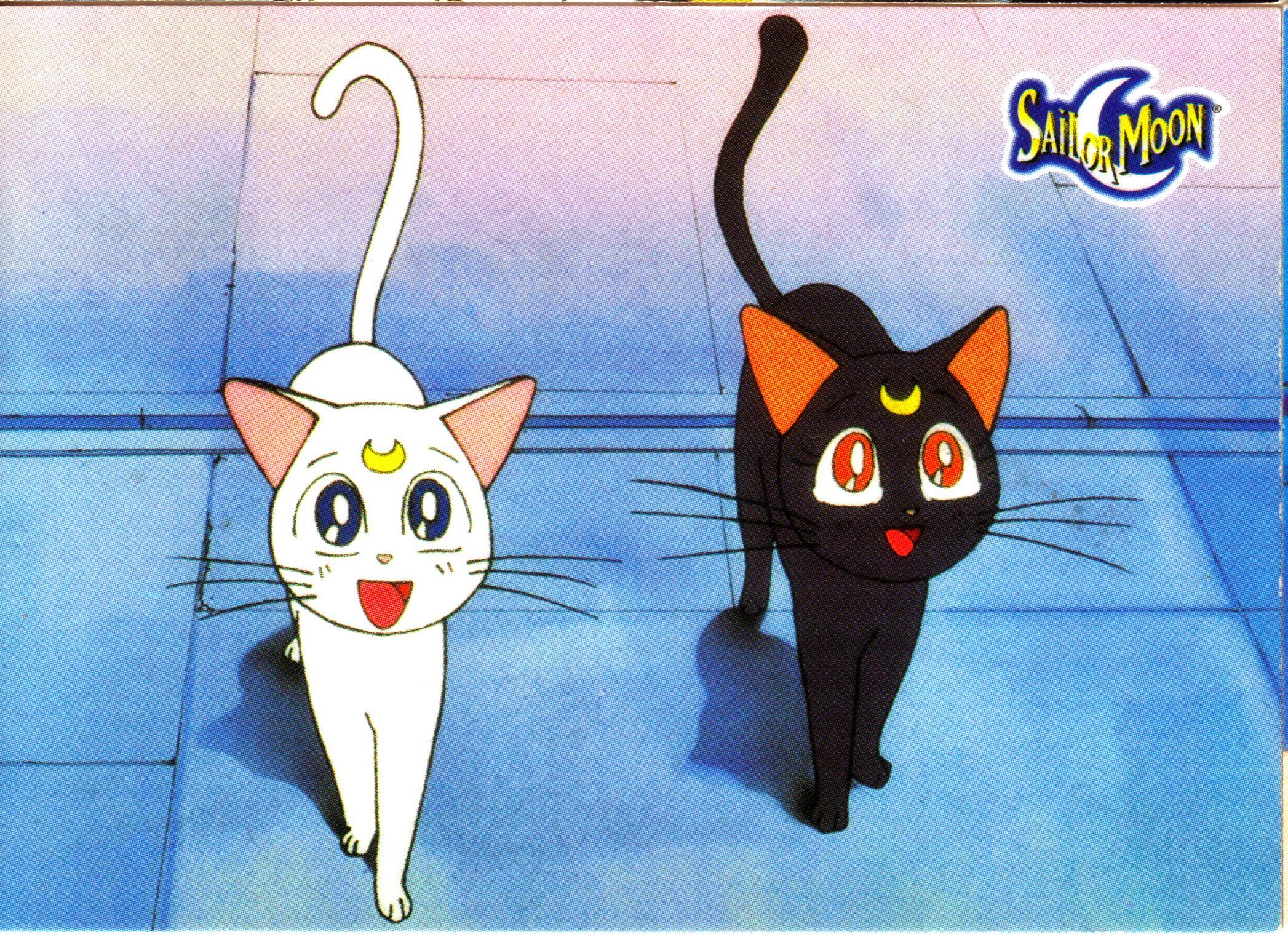 Sailor Moon Cat Wallpapers