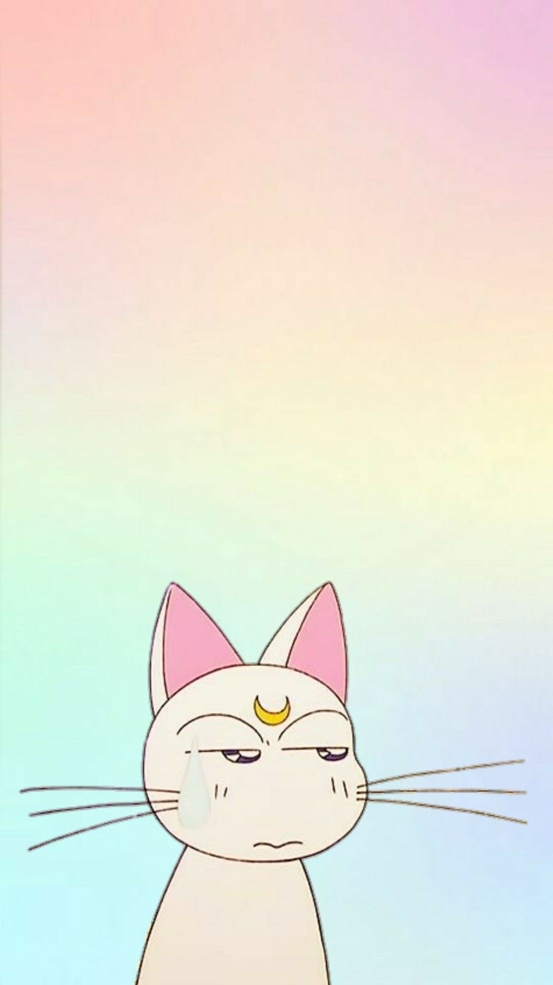 Sailor Moon Cat Wallpapers