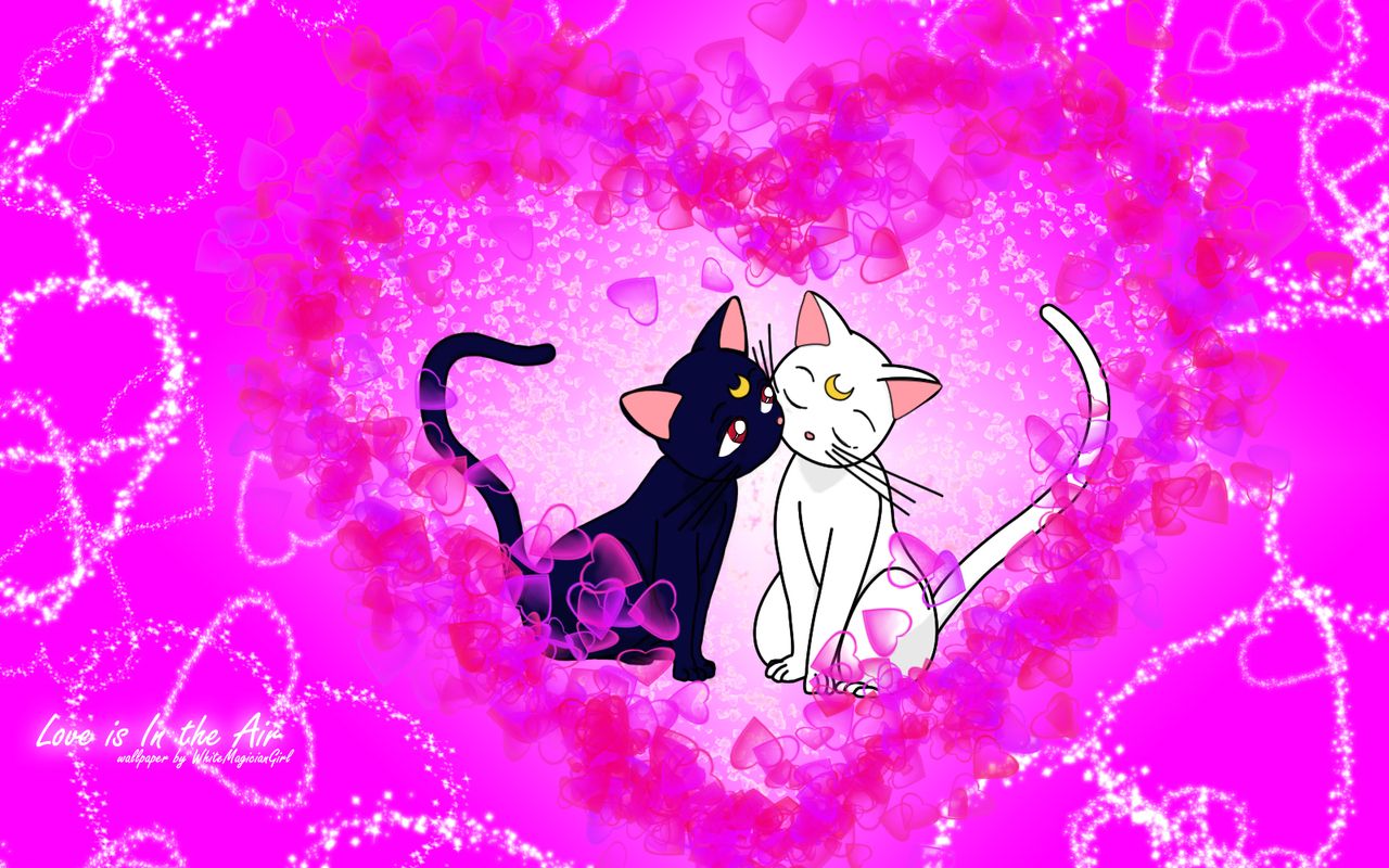 Sailor Moon Cat Wallpapers