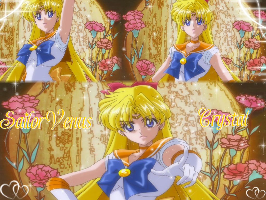 Sailor Venus Wallpapers