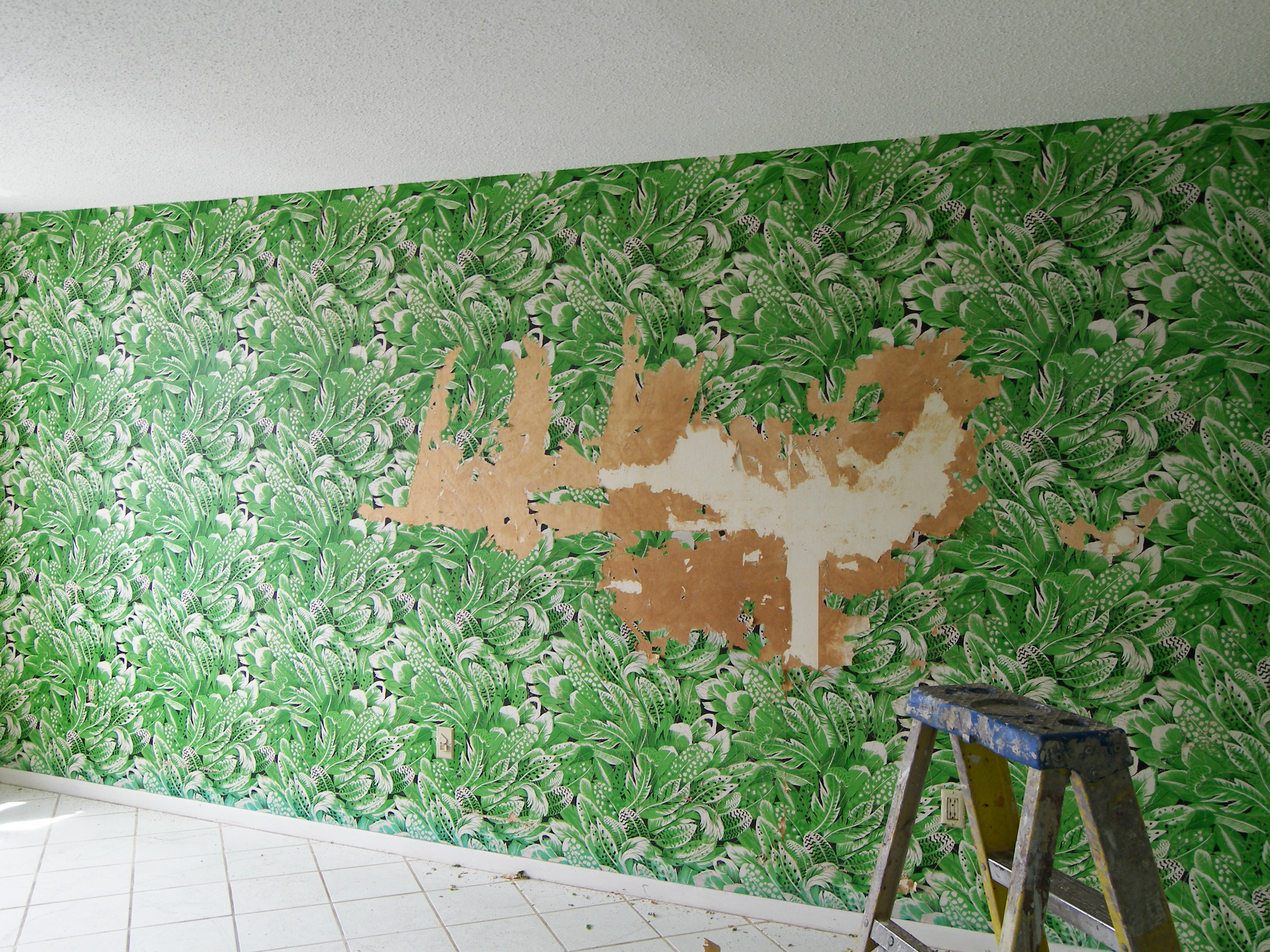 Sarasota Wallpapers