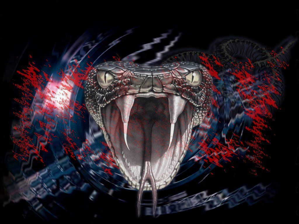 Scary Snakes Wallpapers