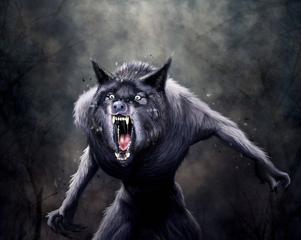 Scary Werewolf Picture Wallpapers