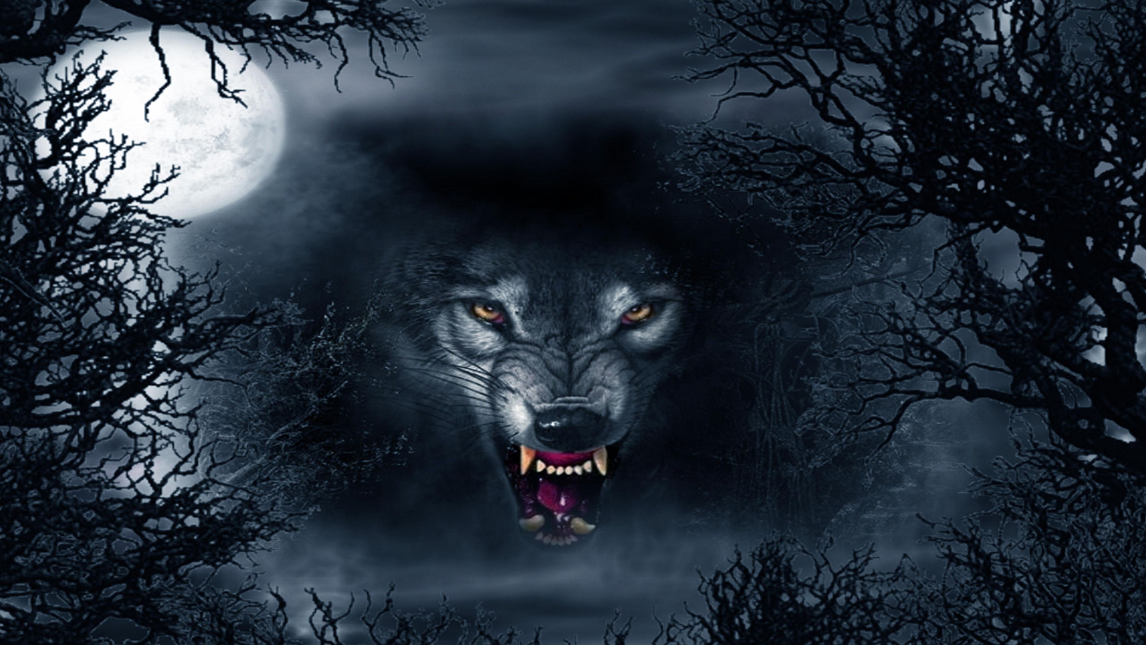 Scary Wolf Wallpapers