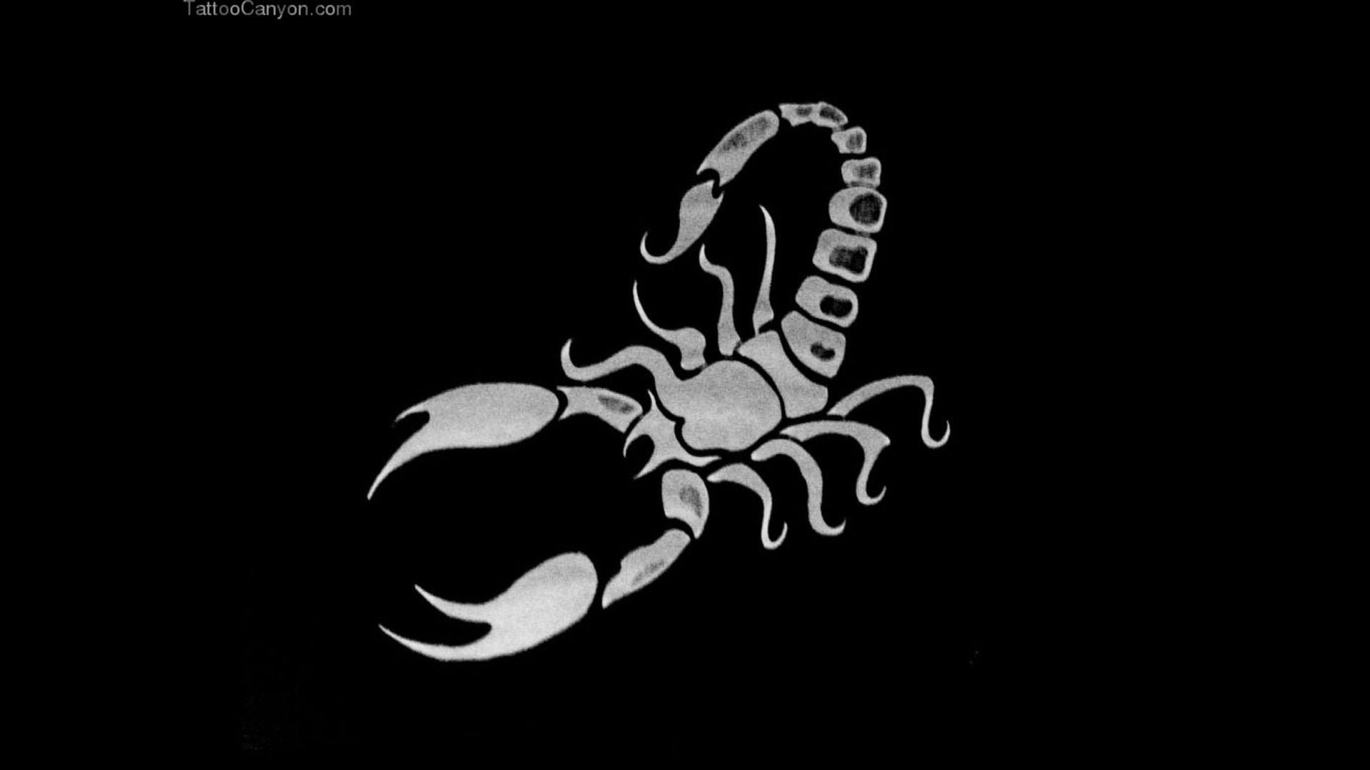 Scorpio Wallpapers