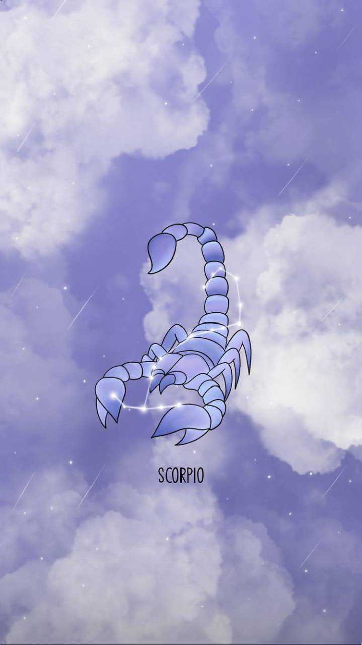 Scorpion Iphone Wallpapers