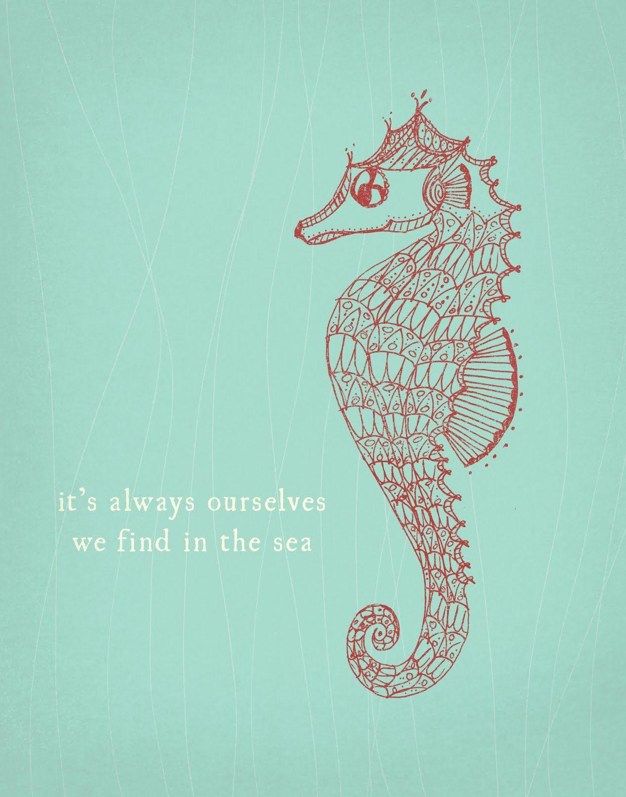 Sea Horse Wallpapers