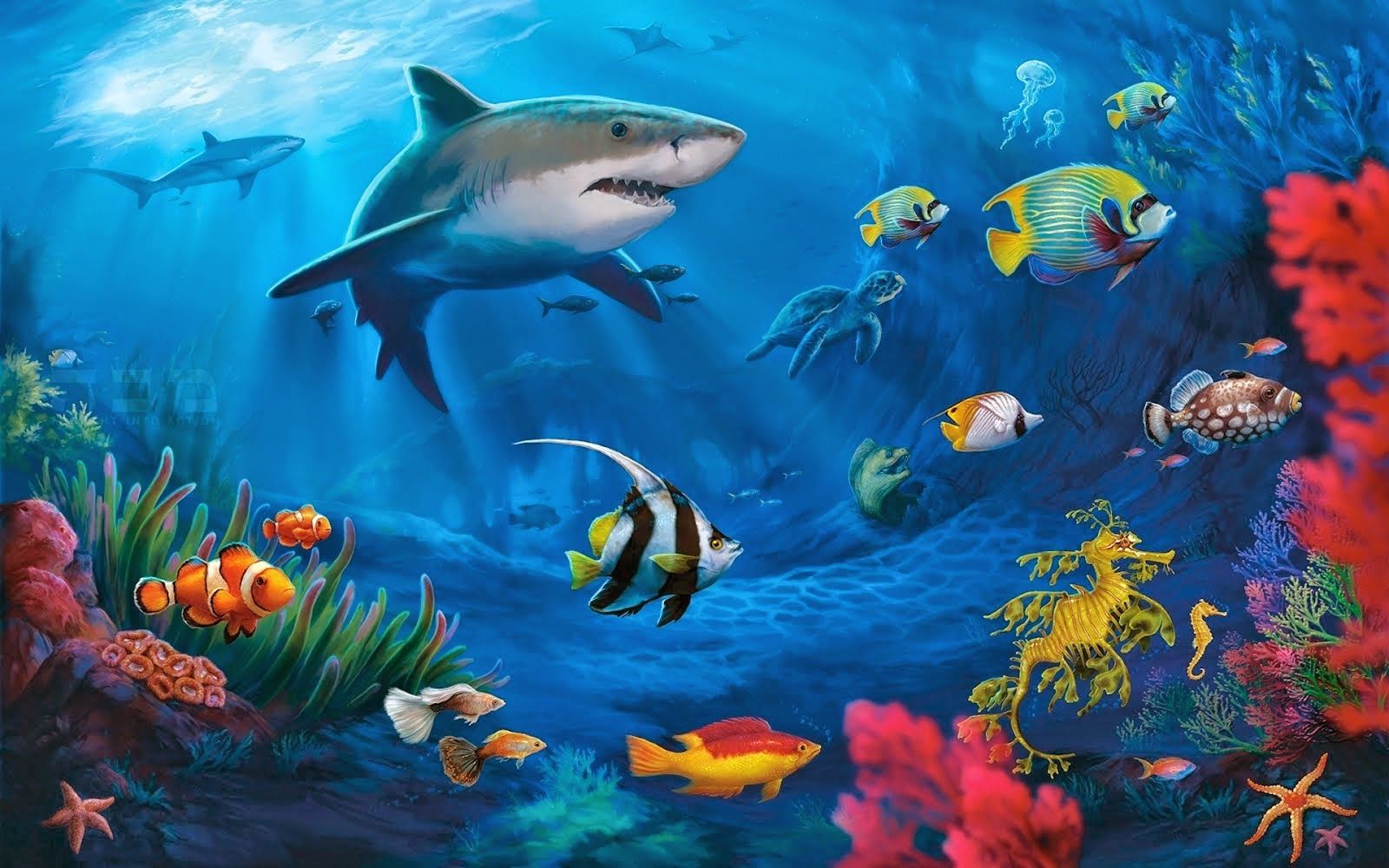 Sea Life Live Wallpapers